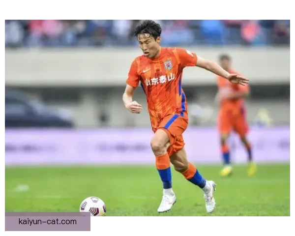 上海海港迎来新发展机遇，推动区域经济腾飞且表现值得关注